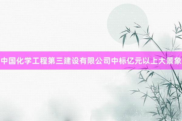中国化学工程第三建设有限公司中标亿元以上大景象