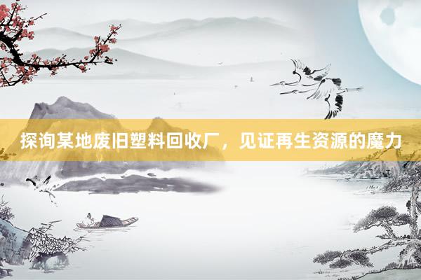 探询某地废旧塑料回收厂，见证再生资源的魔力