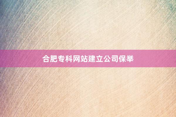 合肥专科网站建立公司保举