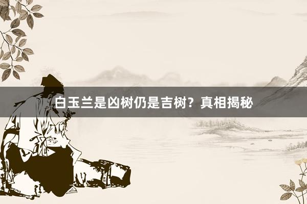 白玉兰是凶树仍是吉树？真相揭秘